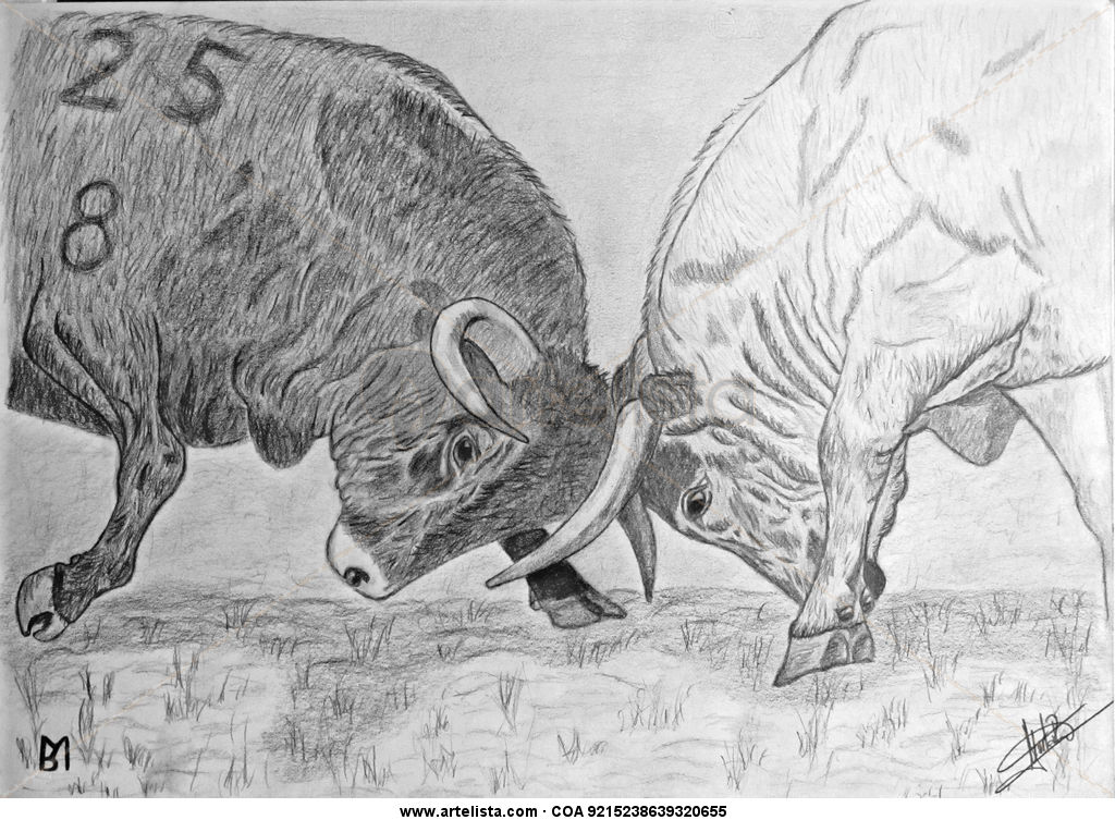 Peleas Toros Lidia