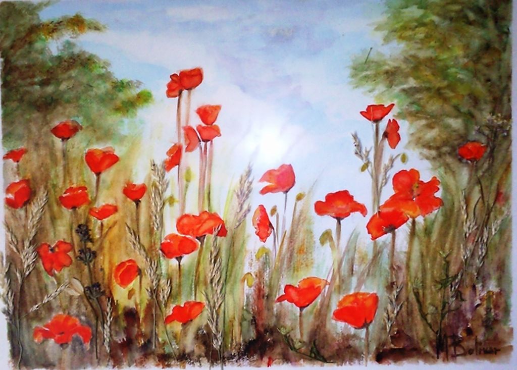 Amapolas