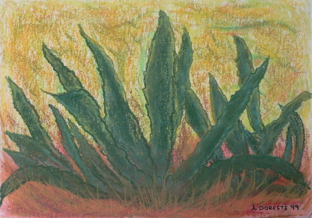 Pitas Floral Papel Pastel