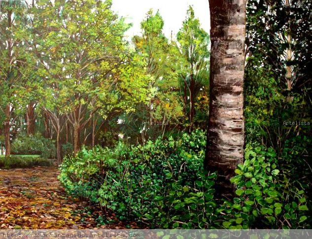 Comienzo Otoño Uithoorn (Holanda) Acrílico Tela Paisaje