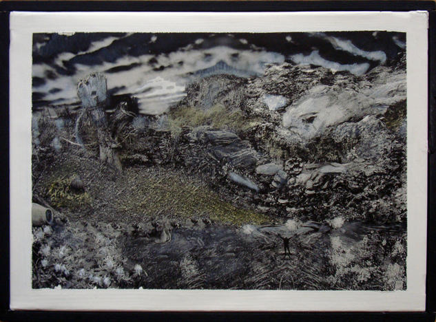 [2003] La Pedra Salada de Cers (v.2) Naturaleza Blanco y Negro (Química)