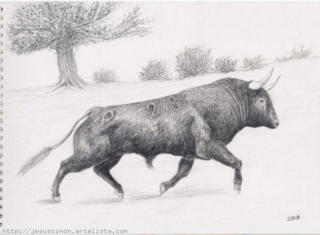 Toro Grafito
