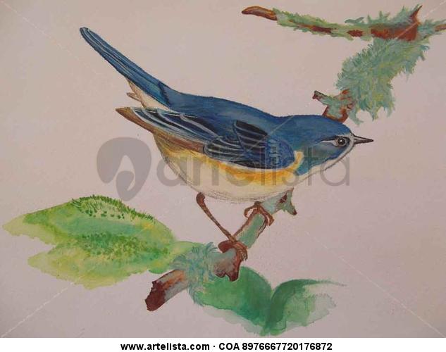 Ave Azul Animales Media Mixta Papel