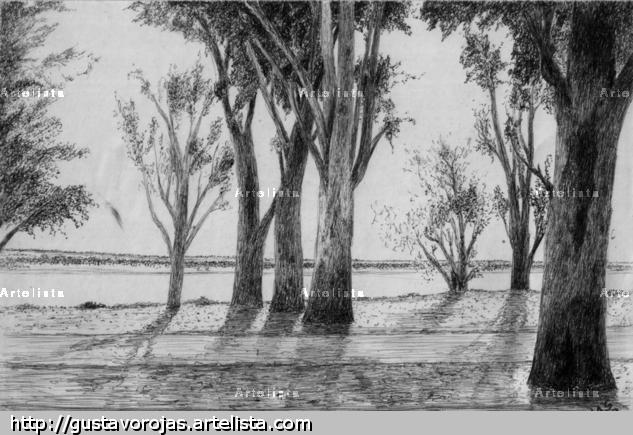 Costa Alta, Rosario. Otros