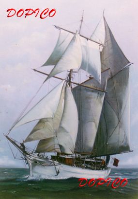 Belle Poule. Óleo Lienzo Marina