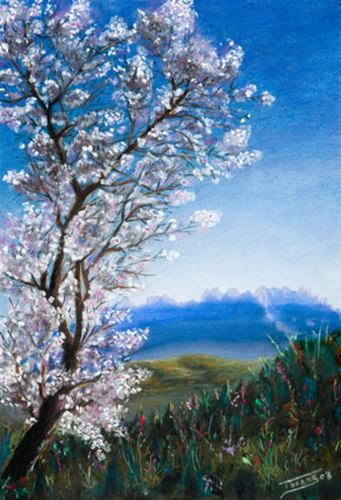 Ametller florit i Montserrat Pastel Cartulina Paisaje