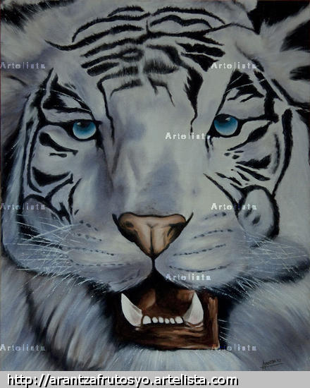 Tigre albino Lienzo Óleo Animales
