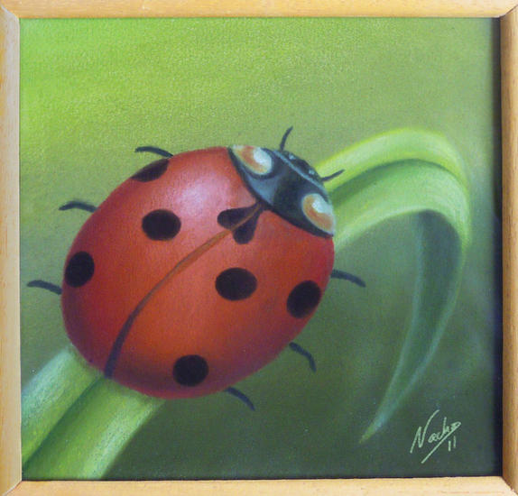 Lady Bug Papel Otros Pastel