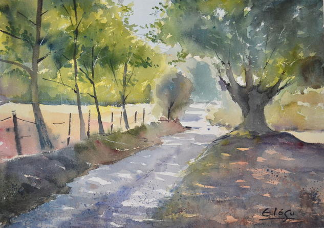 Senda Acuarela Papel Paisaje