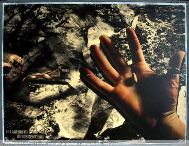 [2009] REORDEN [el laberinto de los sentidos] Conceptual/Abstracto Técnicas alternativas