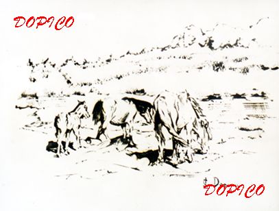 Caballos. Tinta Cartulina Animales