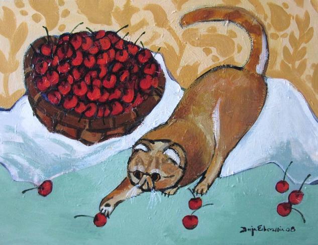 Gato exótico con cerezas 