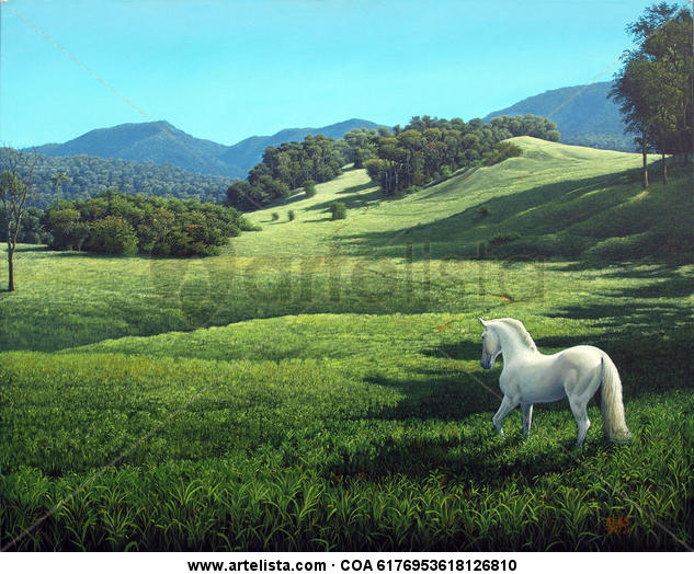 Libertad en la inmensidad Canvas Acrylic Landscaping