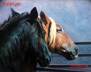 Cabezas de caballos. Óleo Lienzo Animales