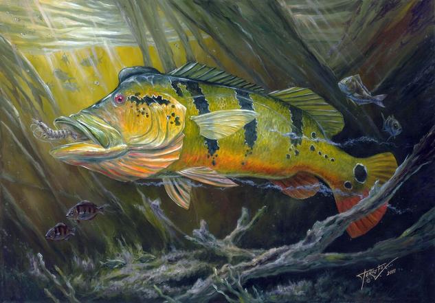 The Great Peacock Bass Canvas Oil Animals