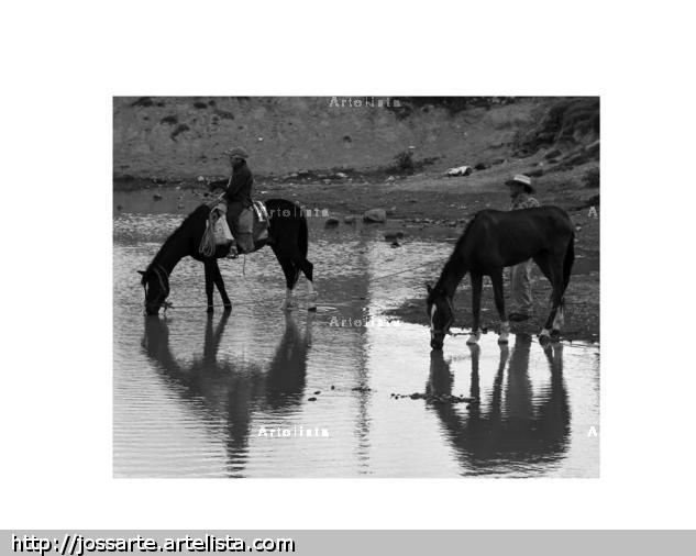 Reflejos Blanco y Negro (Digital) Retrato