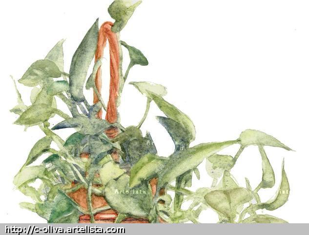 pothos Papel Acuarela Floral