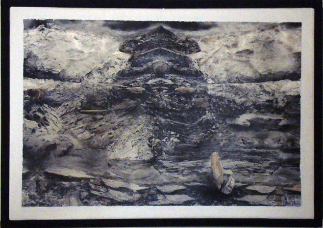 [2003] La Pedra Salada de Cers (v.I) Naturaleza Blanco y Negro (Química)