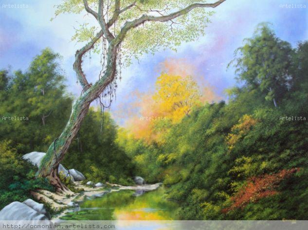 Contemplação Óleo Lienzo Paisaje