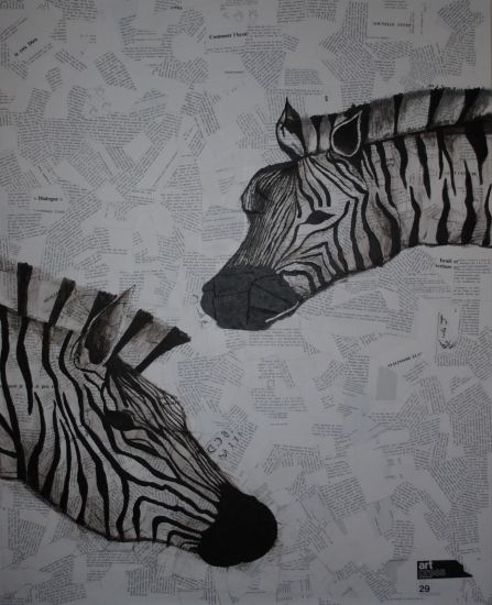 Zebra 