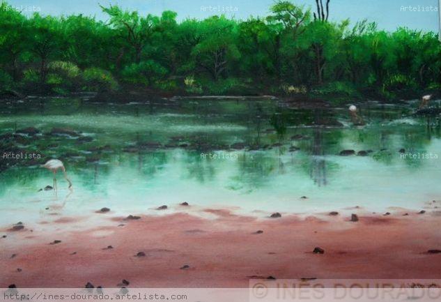 Flamingos nas Galápagos (Galapagos flamingos) Óleo Tela Paisaje