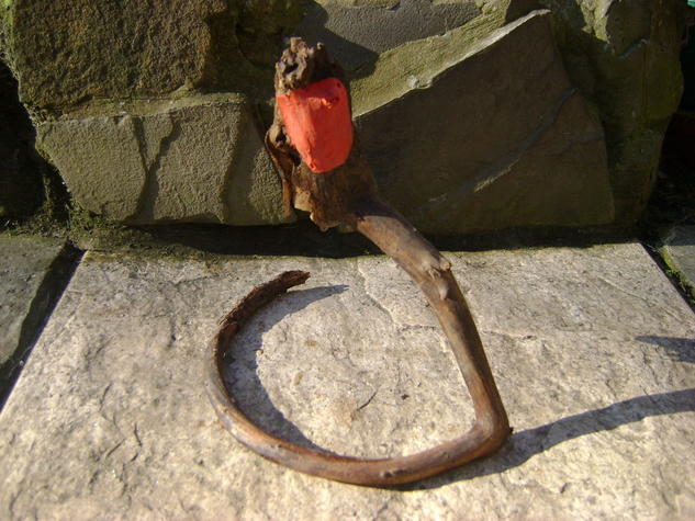 Pájaro Madera Mixta