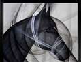 CABALLO GRIS