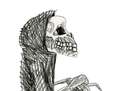 Calavera 1
