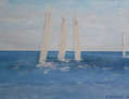 Regata Vela Latina