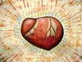 Sangrado corazón