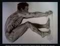 serie Tensiones | estudio anatomico