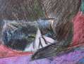 Gato dormido