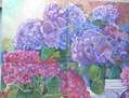 Hortensias