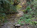 Camino del bosque