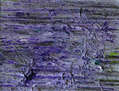 En-redes II