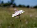 Loneliness