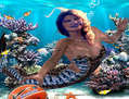 LA SIRENA DEL ESTUDIANTES