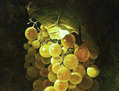 uvas