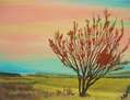 Otoño en Valdecarros