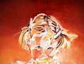SOL