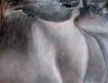 Sensualidad XI