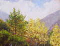 Colors de Trardor. Veo
