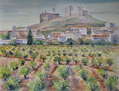 Viñas en la Rioja