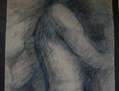 DESNUDO