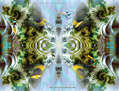 FRACTAL DE CORAL