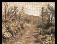 Camino