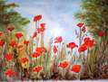 Amapolas