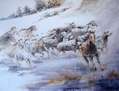 Caballos en la Nieve