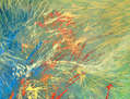 Inmersion. Estudio de color No.1