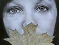Silencio, vegetal